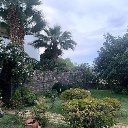 Appartement Ammoudi Hideaway à Agios Nikolaos Extérieur photo